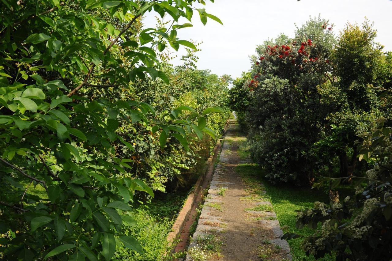 Tenuta Santa Tecla อาชิเรอาเล ภายนอก รูปภาพ