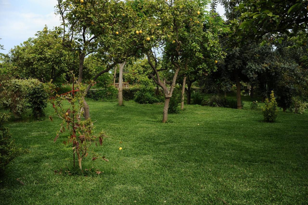 Tenuta Santa Tecla อาชิเรอาเล ภายนอก รูปภาพ